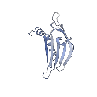 23336_7lhd_KI_v1-1
The complete model of phage Qbeta virion