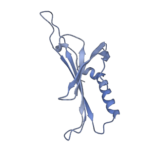 23336_7lhd_KL_v1-1
The complete model of phage Qbeta virion
