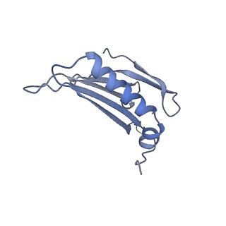 23336_7lhd_KM_v1-1
The complete model of phage Qbeta virion