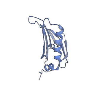 23336_7lhd_KN_v1-1
The complete model of phage Qbeta virion