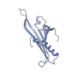 23336_7lhd_LC_v1-1
The complete model of phage Qbeta virion