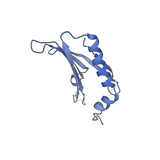 23336_7lhd_LD_v1-1
The complete model of phage Qbeta virion