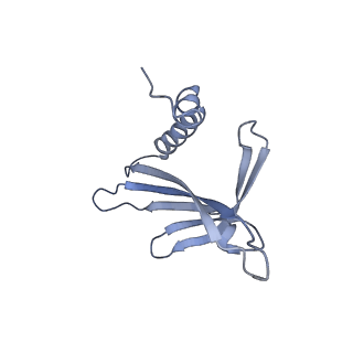 23336_7lhd_LE_v1-1
The complete model of phage Qbeta virion