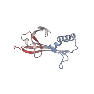 23336_7lhd_LF_v1-1
The complete model of phage Qbeta virion