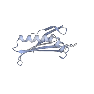 23336_7lhd_LG_v1-1
The complete model of phage Qbeta virion