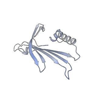 23336_7lhd_LJ_v1-1
The complete model of phage Qbeta virion