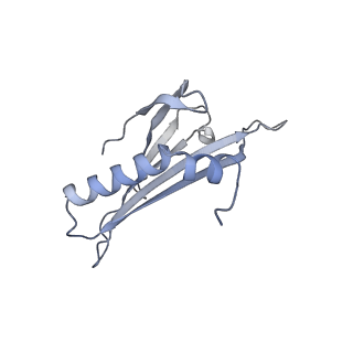 23336_7lhd_LK_v1-1
The complete model of phage Qbeta virion