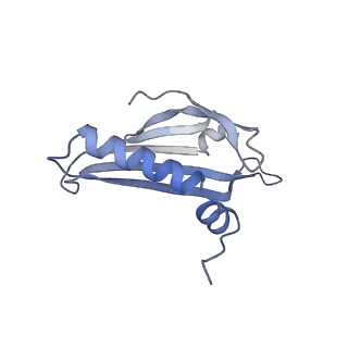 23336_7lhd_LL_v1-1
The complete model of phage Qbeta virion