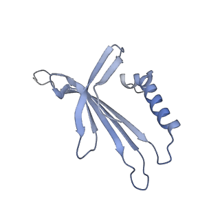 23336_7lhd_LN_v1-1
The complete model of phage Qbeta virion