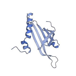 23336_7lhd_MA_v1-1
The complete model of phage Qbeta virion