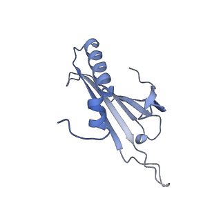 23336_7lhd_ME_v1-1
The complete model of phage Qbeta virion