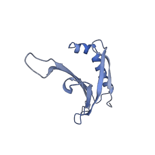 23336_7lhd_MF_v1-1
The complete model of phage Qbeta virion
