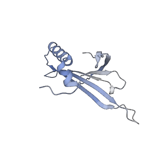 23336_7lhd_MI_v1-1
The complete model of phage Qbeta virion