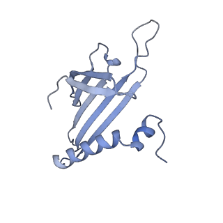 23336_7lhd_MK_v1-1
The complete model of phage Qbeta virion
