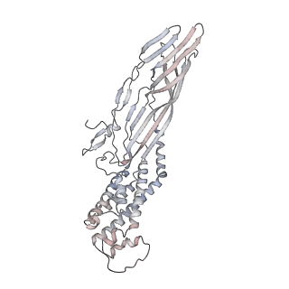 23336_7lhd_M_v1-1
The complete model of phage Qbeta virion