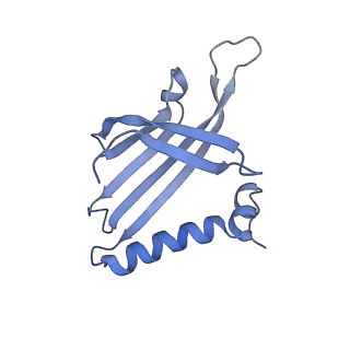 23336_7lhd_NB_v1-1
The complete model of phage Qbeta virion