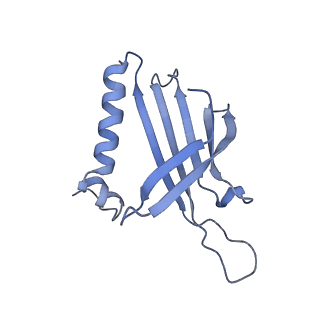 23336_7lhd_NC_v1-1
The complete model of phage Qbeta virion