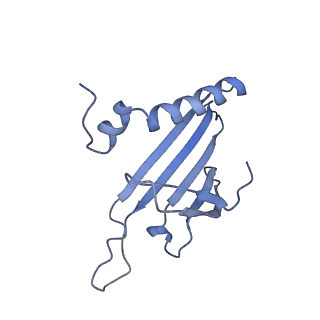 23336_7lhd_NF_v1-1
The complete model of phage Qbeta virion