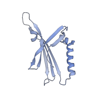 23336_7lhd_NH_v1-1
The complete model of phage Qbeta virion