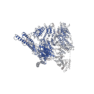 23337_7lhe_A_v1-1
Structure of full-length IP3R1 channel reconstituted into lipid nanodisc in the apo-state