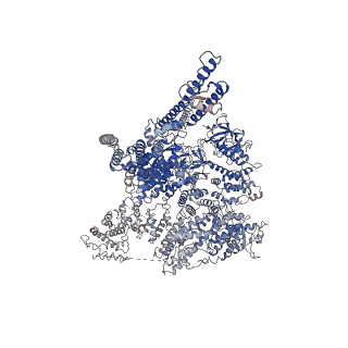 23337_7lhe_B_v1-0
Structure of full-length IP3R1 channel reconstituted into lipid nanodisc in the apo-state