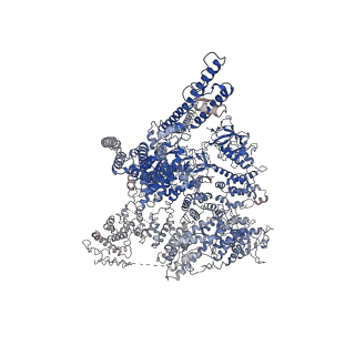 23337_7lhe_B_v1-1
Structure of full-length IP3R1 channel reconstituted into lipid nanodisc in the apo-state