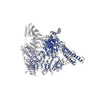 23337_7lhe_C_v1-0
Structure of full-length IP3R1 channel reconstituted into lipid nanodisc in the apo-state