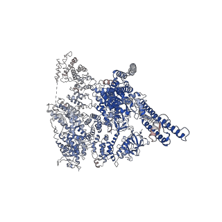 23337_7lhe_C_v1-1
Structure of full-length IP3R1 channel reconstituted into lipid nanodisc in the apo-state