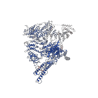 23337_7lhe_D_v1-0
Structure of full-length IP3R1 channel reconstituted into lipid nanodisc in the apo-state