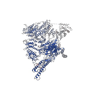23337_7lhe_D_v1-1
Structure of full-length IP3R1 channel reconstituted into lipid nanodisc in the apo-state