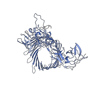 23339_7lhg_C_v1-1
Cryo-EM structure of E. coli P pilus tip assembly intermediate PapC-PapD-PapK-PapG in the first conformation