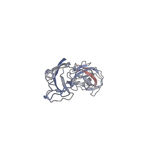 23339_7lhg_G_v1-1
Cryo-EM structure of E. coli P pilus tip assembly intermediate PapC-PapD-PapK-PapG in the first conformation
