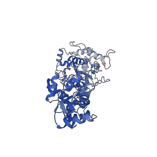 23345_7lhl_A_v1-1
cryo-EM structure of Mycobacterium smegmatis Lhr helicase C-terminal domain