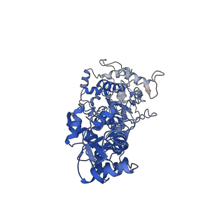 23345_7lhl_A_v1-2
cryo-EM structure of Mycobacterium smegmatis Lhr helicase C-terminal domain