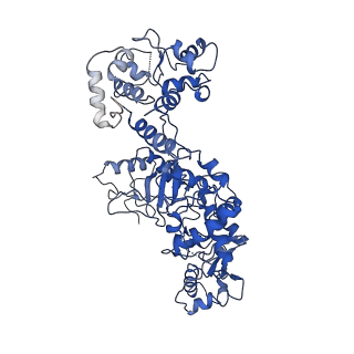 23345_7lhl_C_v1-2
cryo-EM structure of Mycobacterium smegmatis Lhr helicase C-terminal domain