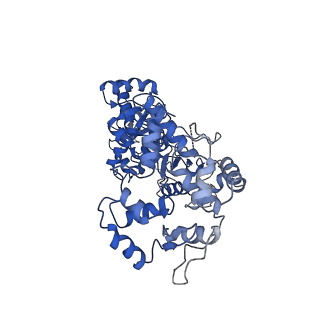 23345_7lhl_D_v1-1
cryo-EM structure of Mycobacterium smegmatis Lhr helicase C-terminal domain
