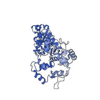 23345_7lhl_D_v1-2
cryo-EM structure of Mycobacterium smegmatis Lhr helicase C-terminal domain