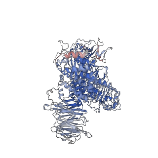 23352_7lhw_A_v1-2
Structure of the LRRK2 monomer