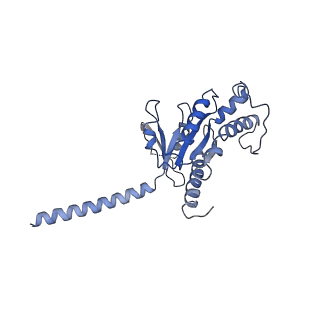 0902_6li3_A_v1-2
cryo-EM structure of GPR52-miniGs-NB35