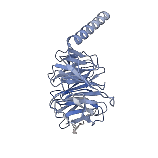 0902_6li3_B_v1-2
cryo-EM structure of GPR52-miniGs-NB35