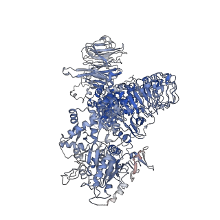 23359_7li3_A_v1-1
Structure of the LRRK2 G2019S mutant