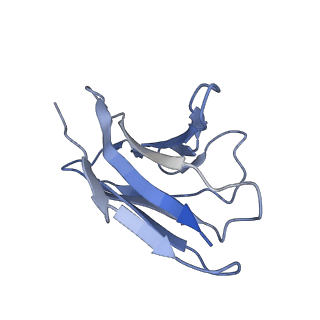 23362_7li7_C_v1-0
apo serotonin transporter reconstituted in lipid nanodisc in presence of NaCl in occluded conformation