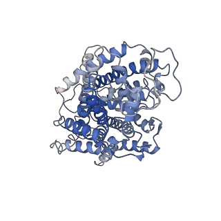 23363_7li8_A_v1-0
apo serotonin transporter reconstituted in lipid nanodisc in presence of NaCl in inward open conformation