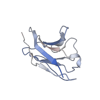 23363_7li8_C_v1-0
apo serotonin transporter reconstituted in lipid nanodisc in presence of NaCl in inward open conformation