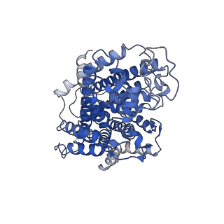 23364_7li9_A_v1-0
5-HT bound serotonin transporter reconstituted in lipid nanodisc in KCl