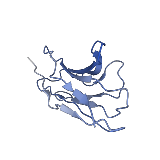 23364_7li9_C_v1-0
5-HT bound serotonin transporter reconstituted in lipid nanodisc in KCl