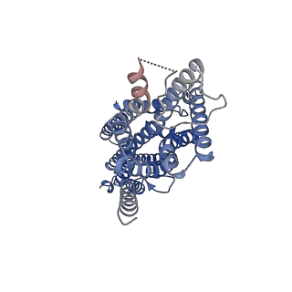 23372_7lic_A_v1-1
The structure of the insect olfactory receptor OR5 from Machilis hrabei