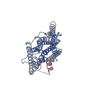 23372_7lic_C_v1-1
The structure of the insect olfactory receptor OR5 from Machilis hrabei