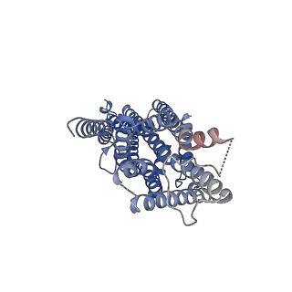23372_7lic_D_v1-1
The structure of the insect olfactory receptor OR5 from Machilis hrabei