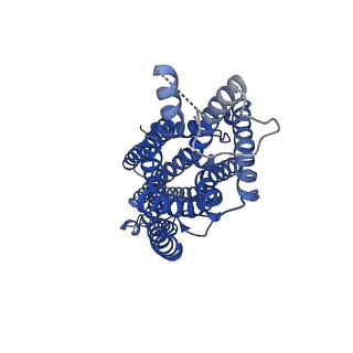 23374_7lid_A_v1-1
The structure of the insect olfactory receptor OR5 from Machilis hrabei in complex with eugenol